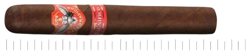 Cononazo_Maduro_Magnífico-removebg-preview-removebg-preview